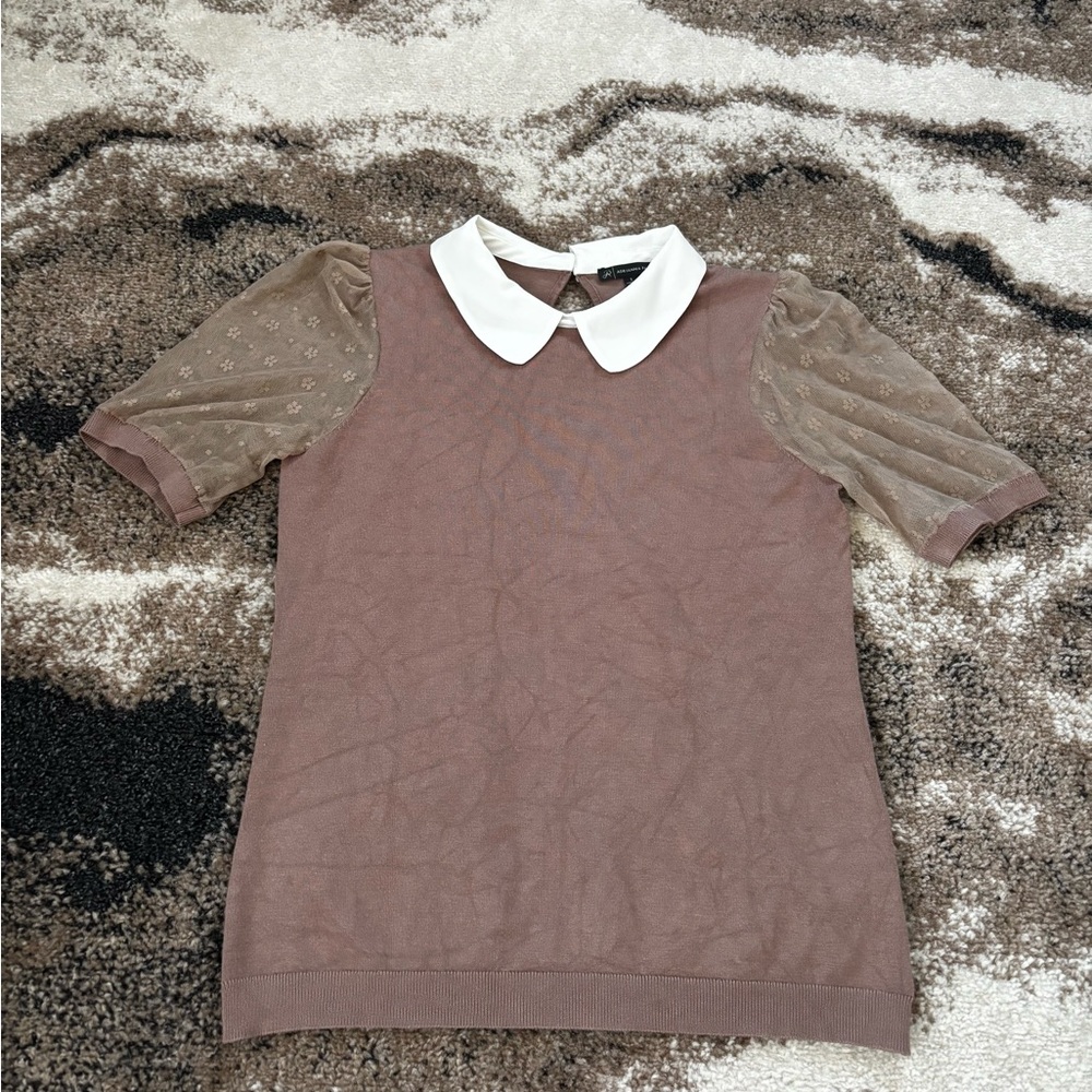 Brown Top with White Collar